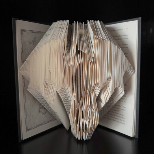 Book Art - DRAGON